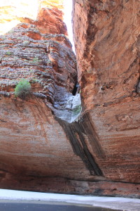 Cathedral Gorge 
