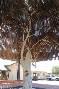 Tree of Knowledge at Barcaldine. Birthplace of the Australian Labour Party
