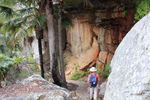 Blackdown Tableland NP - the walk down to Rainbow Waters