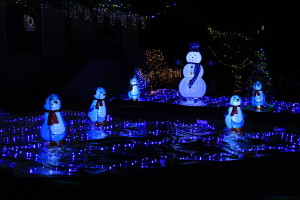 Jade and Gordo's snow and ice display