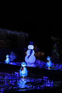 Jade and Gordo's snow and ice display