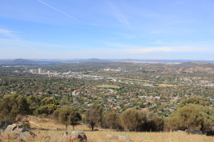 View from Mt Taylor looking east