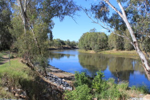Murrumbidgee River at Wagga