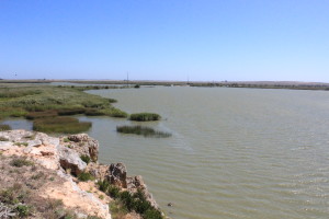 Lake Alexandrina