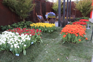 Melbourne Flower Display - part of the display