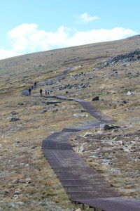 The Mt Kosciuszko pathway
