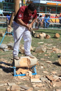 Woodchoppers in action at the Clermont Show
