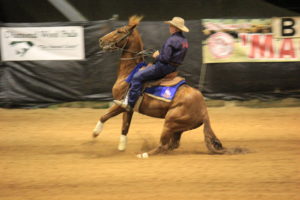 Charters Towers - Horse of The North Competition 