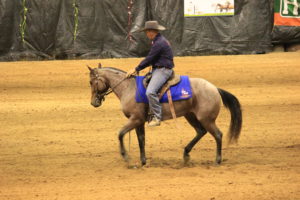 Charters Towers - Horse of The North Competition 