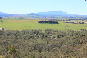 Atherton Tablelands from Mt Baldy