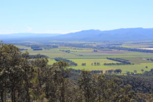 Atherton Tablelands from Mt Baldy