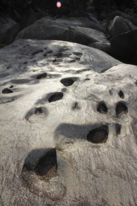 Granite Gorge - dinosaur foot prints