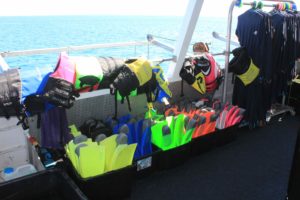 All the snorkelling gear ready to go